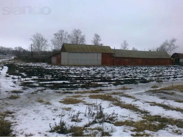 Ростоши воронежская область. Новая дорога через ростоши оренбург. Ростоши белгородская область. Прогноз ростошах. Прогноз ростошах.