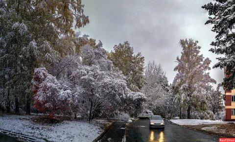 Погода в академгородке сейчас