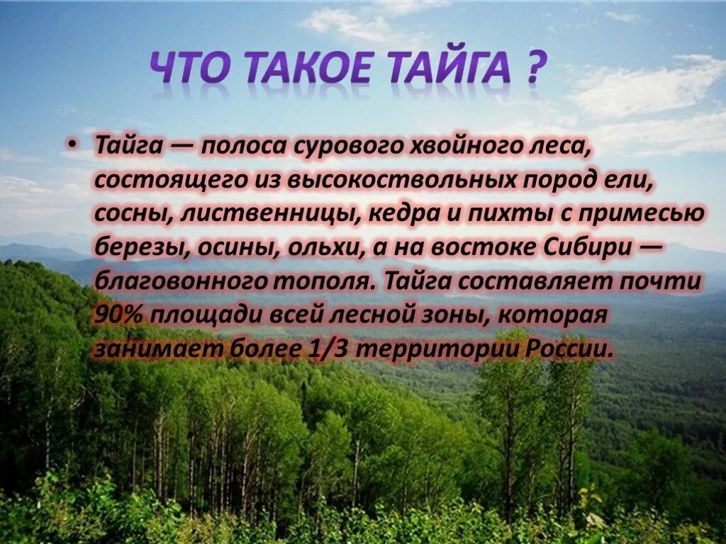 Сообщение о природной зоне 5 класс биология. Тайга презентация. Сообщение о тайге. Презентация о природной зоне Тайга. Рассказ о тайге.