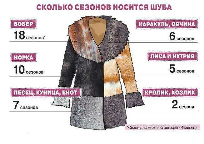 Что значит мех. Размеры норковой шубы. наименование частей женской шубы. износостойкость меха. таблица размеров женских шуб.