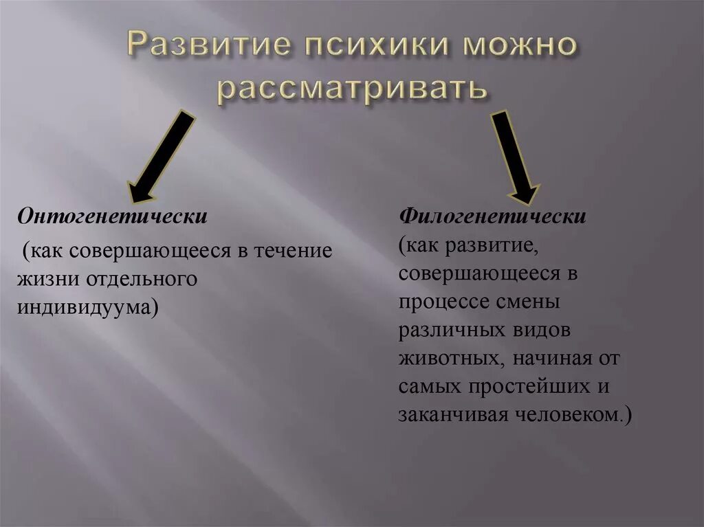 Развитие психики. Развитие психики человека. Этапы развития психики человека. Стадии развития психики человека психология