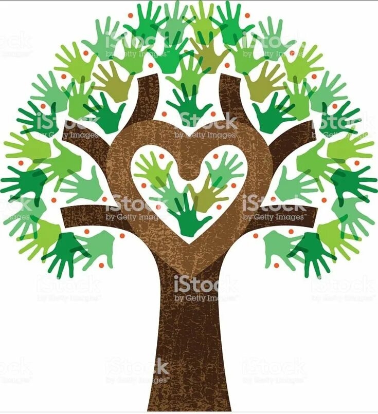The heart of the tree