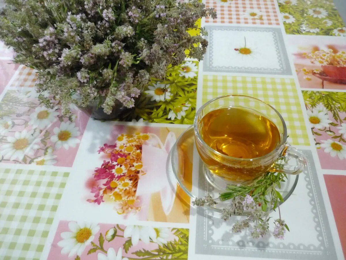 чабрец трава чай. чабрец заварка. душица обыкновенная чай. рецепты из лекарственных растений. душица обыкновенная фитотерапия.