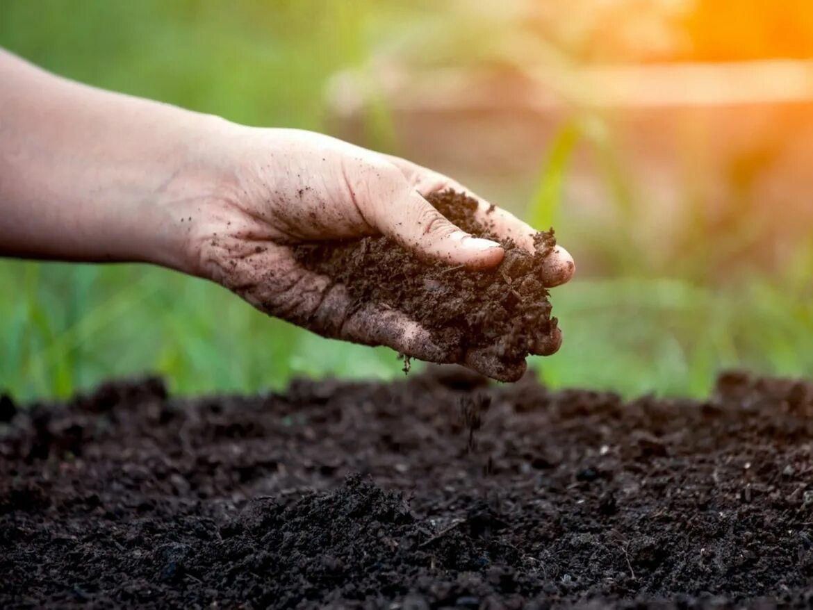Повышением плодородия земли. Почва. Земля почва. Плодородие почвы. Почва в руках.