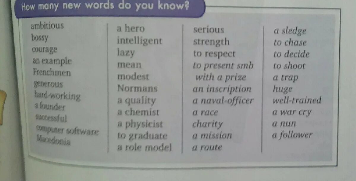 Homework перевод на русский язык. How many Words do you know. New Words. Do Word.