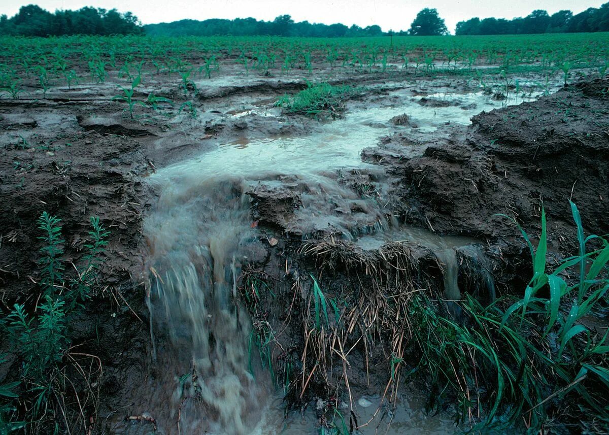 Загрязнение почвы. Вода в почве. Загрязненные почвы. Загрязненные подземные воды. Размытая земля