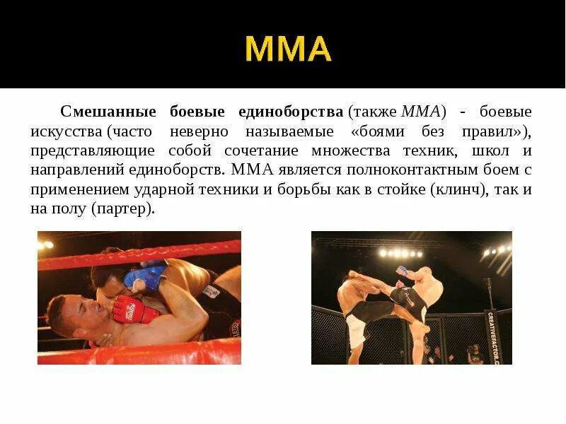 Виды боевых искусств. Единоборства виды спорта. Презентацию единоборства. Боевые искусства презентация. Презентация на тему смешанные единоборства.