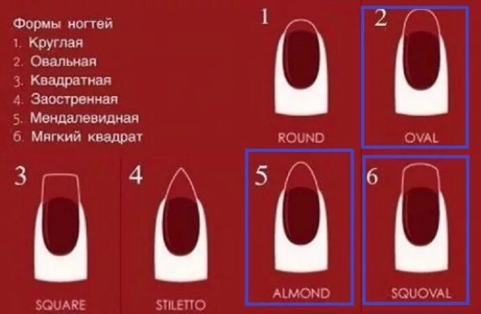 Как выглядят размеры ногтей. Формы ногтей. формы ногтей и название. форма ногтей для маникюра. формы нарощенных ногтей названия.