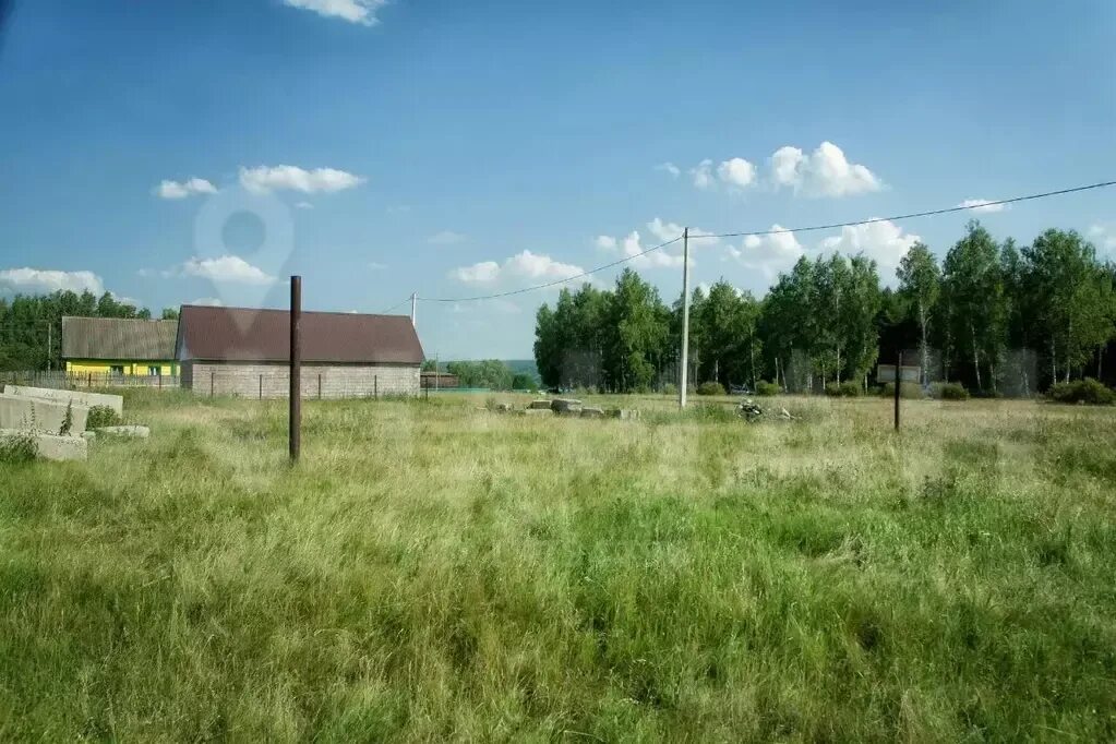 Погода кутуй. Кандра. Погода кутуй. Кутуй интересные факты. Кандры кутуй база отдыха.