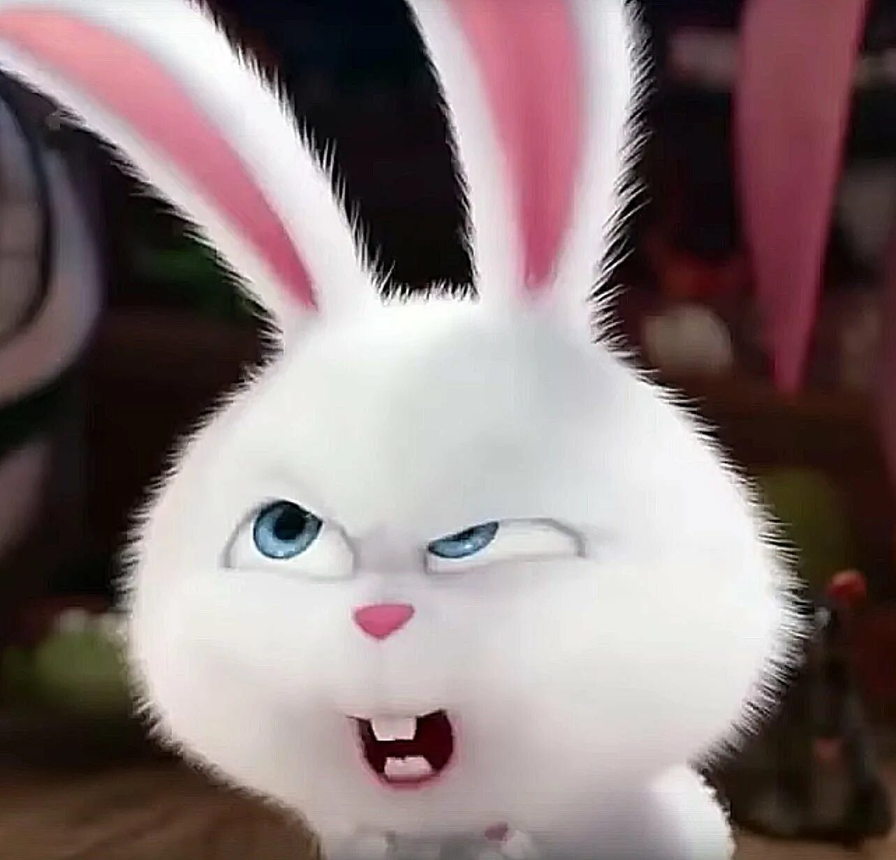 Злая зая. Зая херно. Злая зая картинки. Сегодня в мире зая. Значок злая зая.