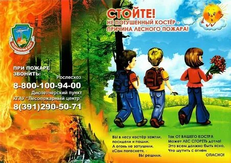 Листовки в лесу