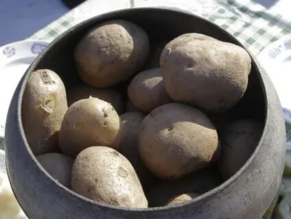 Куда девать картофель