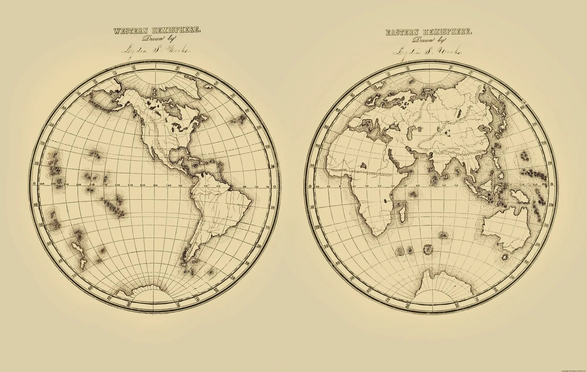 Карта полушарий. Карта полушарий земли. Карта восточного полушария. Физическая карта полушарий земли. 2 земных полушария