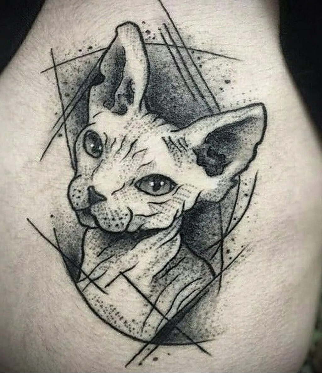 Тату сфинкс для девушек. Тату сфинкс кошка. Тату коты сфинксы. Сфинкс без глаз джаспер. Тату сфинкс кошка.