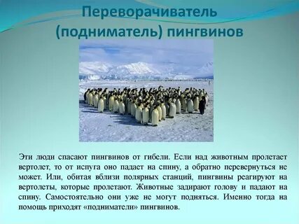 Самая редкая работа в мире