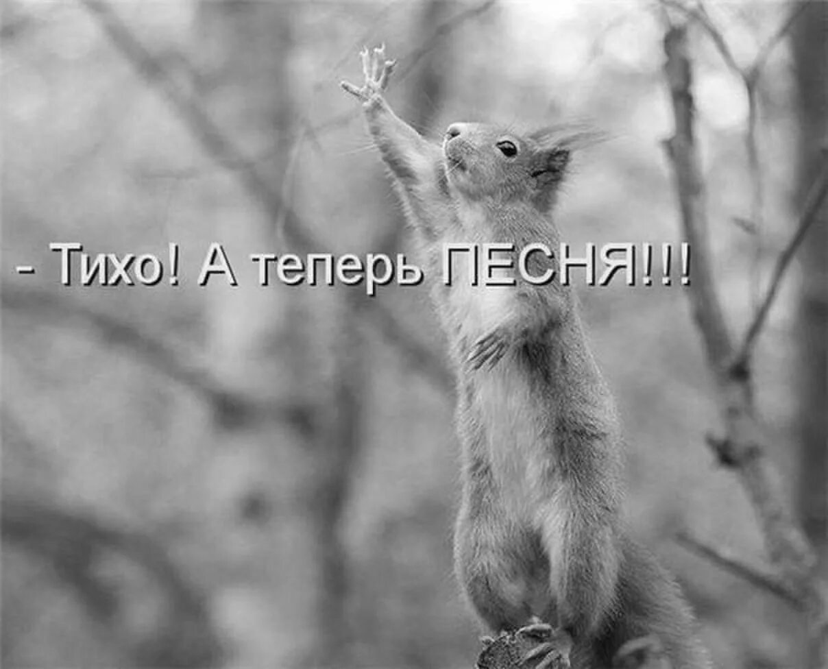 Песня джан балес балес. Тихо сейчас знаю. Тихо сейчас знаю. Тихо ща припев будет. Приём приём как слышно прикол.