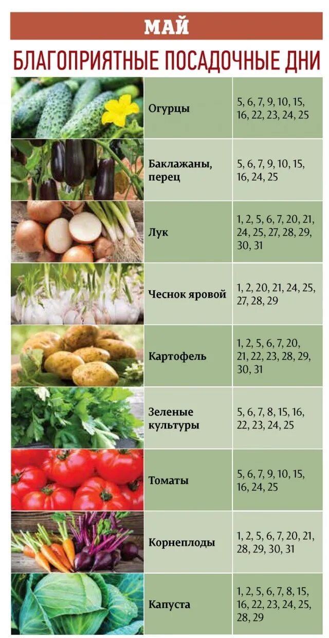 Календарь посадки огурцов 2024г благоприятные. Посадочный календарь. Благоприятные посадочные дни. Посадочные дни мая. Благоприятные посадочный дни май.