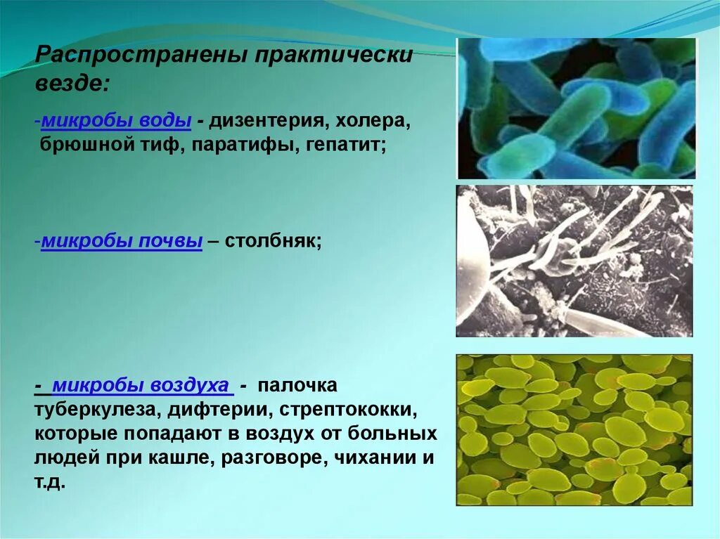 Обобщенные бактерии в воде. Микроорганизмы в воде. бактерии в воздухе. группы микроорганизмов в воде.