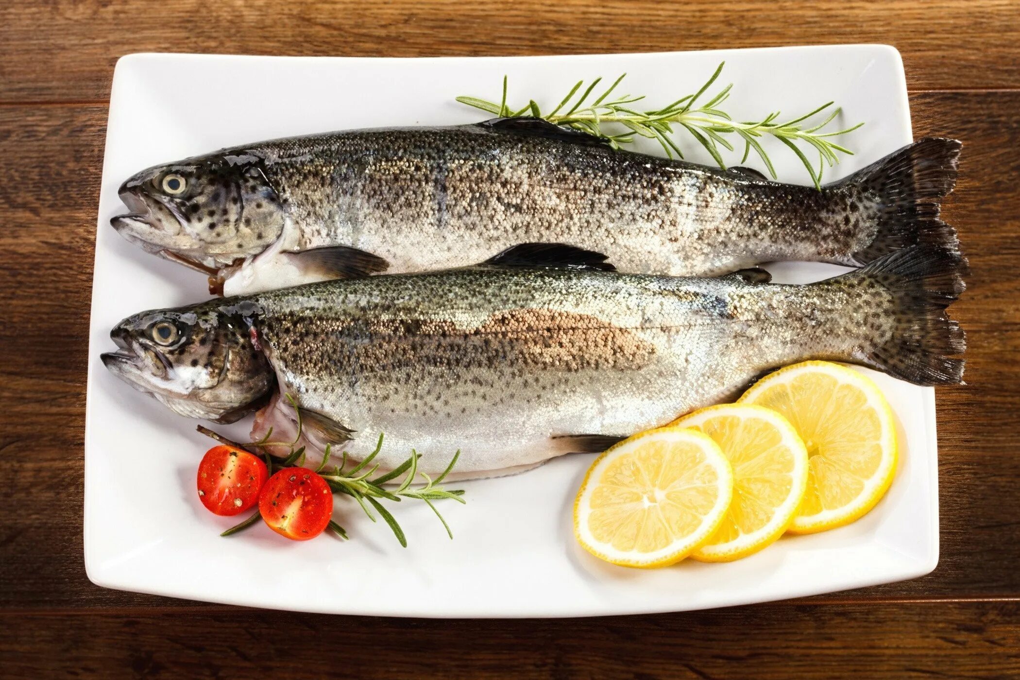 Море вкусного рыба