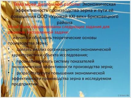 Урожай 21