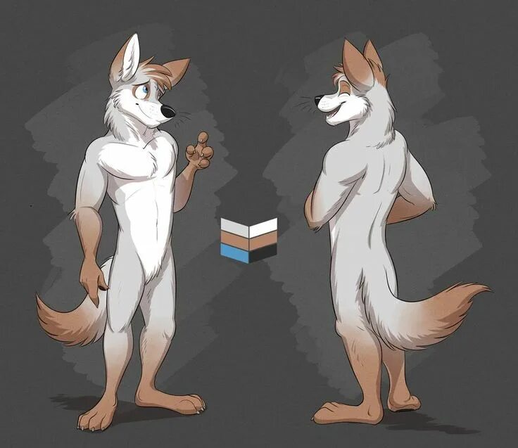 Как выглядит цвет фури Pin by Timmi Timmi on love Furry art, Furry drawing, Anthro furry