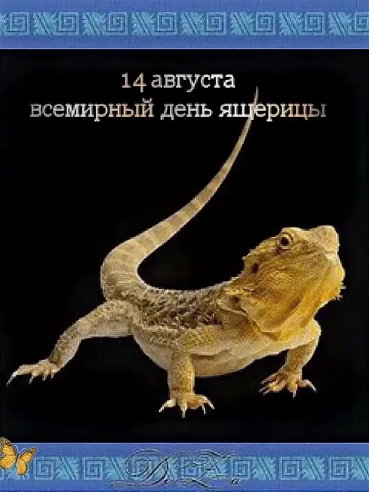 Картинка всемирный день ящерицы. Картинка всемирный день ящерицы. День ящерицы. День ящерицы. С днем ящера.