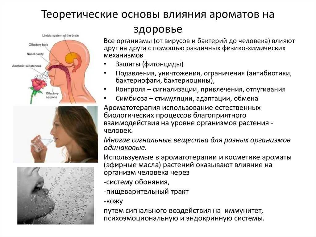 Почему человек ощущает неприятный запах. Влияние запахов на организм. Влияние запахов на человека. Влияние ароматов на организм человека. Как ароматы влияют на человека.