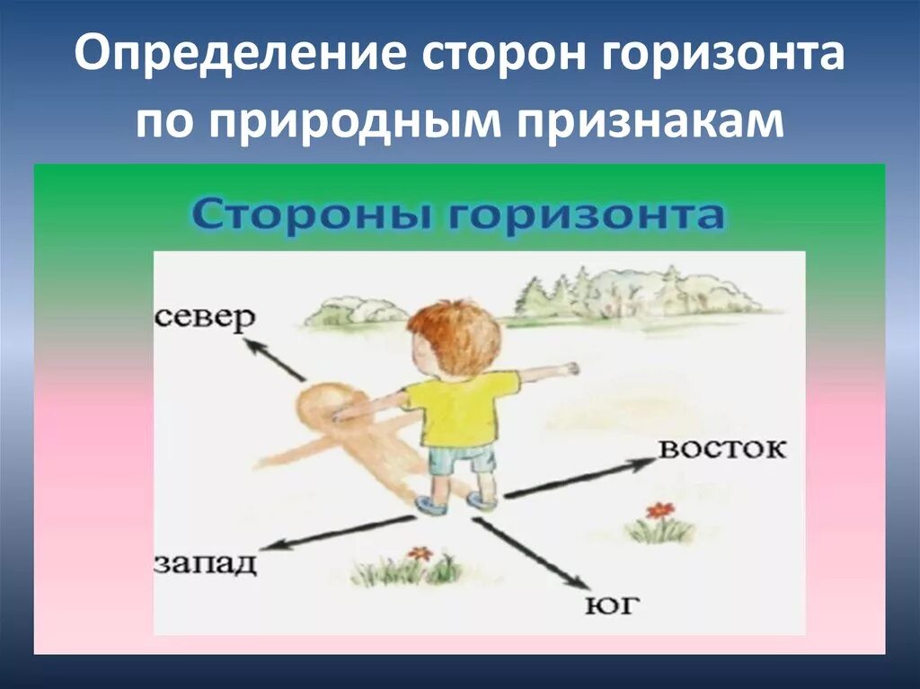 Природные признаки сторон горизонта 2 класс. Определить стороны горизонта. Определение сторон горизонта. Уау определить мторону Горизонт. Как определить стороны го.