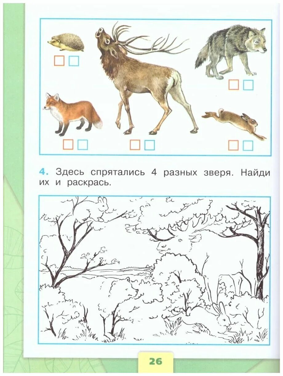 Тесты животные картинки. Окружающий мир. Задания по окруж миру 1 класс. Задания для первого класса окружающий мир. Заданияя по окружающему мит.