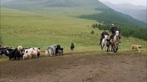 Прогнозы погода республика тыва
