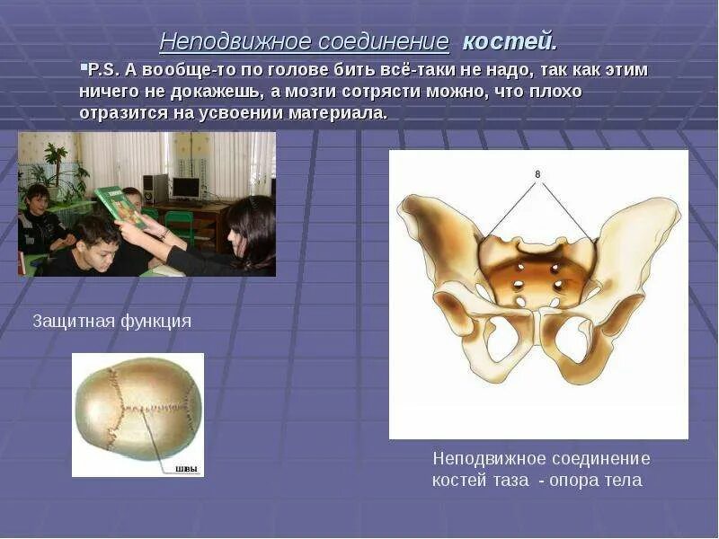 Полуподвижная кость пример. Неподвижное соединение. Неподвижное соединение костей. Не подвижной соединение костей. Кости таза неподвижные соединения.