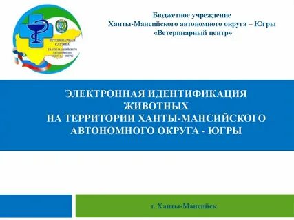 Образование 4.0 хмао электронный