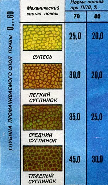 Нормы полива деревьев и кустарников таблица. Нормы полива растений. Норма полива растений при капельном поливе. Полив газонов норматив. Норма воды полив