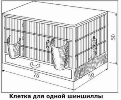 Какой должен быть размер клетки