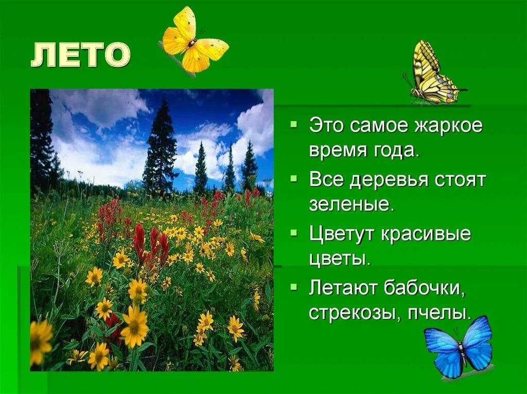 Русский лето на 7 класс. Описание лето для детей. Проект на тему лето. Рассказ о лете. Презентация лето.