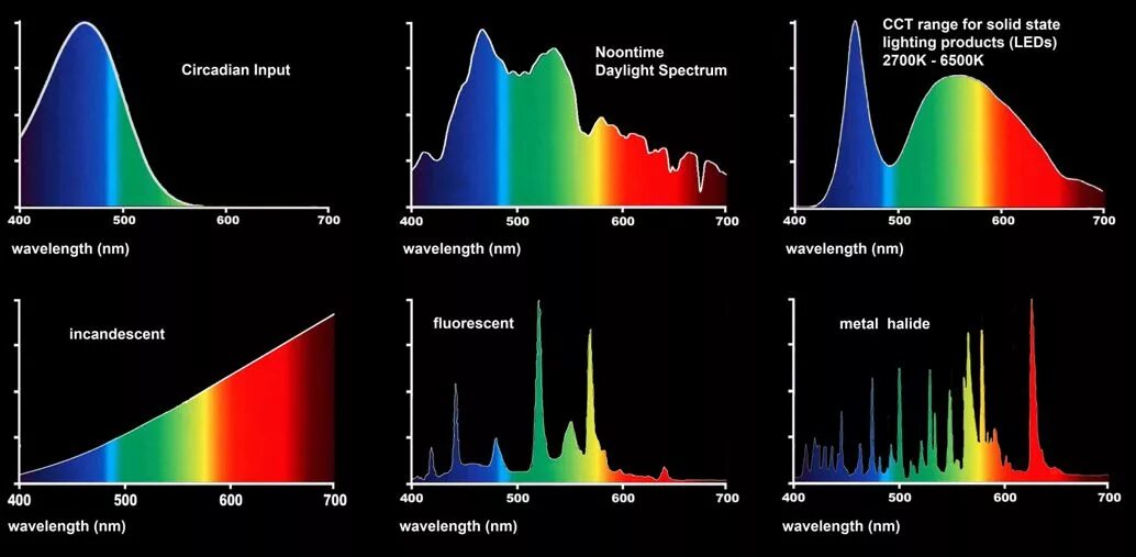 Спектр светодиодной лампы 6500к. Спектр led лампы 6500k. Спектр светодиодной лампы 6500 k. Спектр поглощения лампы 6500к.