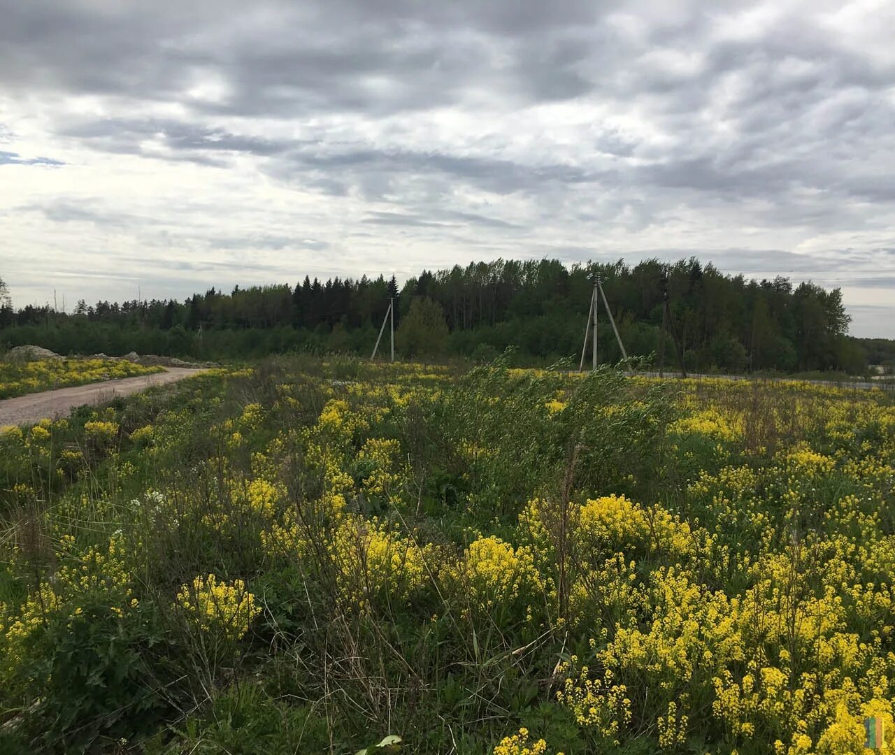 Продам землю в городе. Поселок Левашово СПБ. Город-сад ДНП В Левашово. Пос Левашово Ленинградской области. Поселок Левашово Санкт-Петербург Выборгский район.