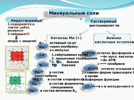 5 уровней в химии