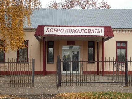 Школа волчок