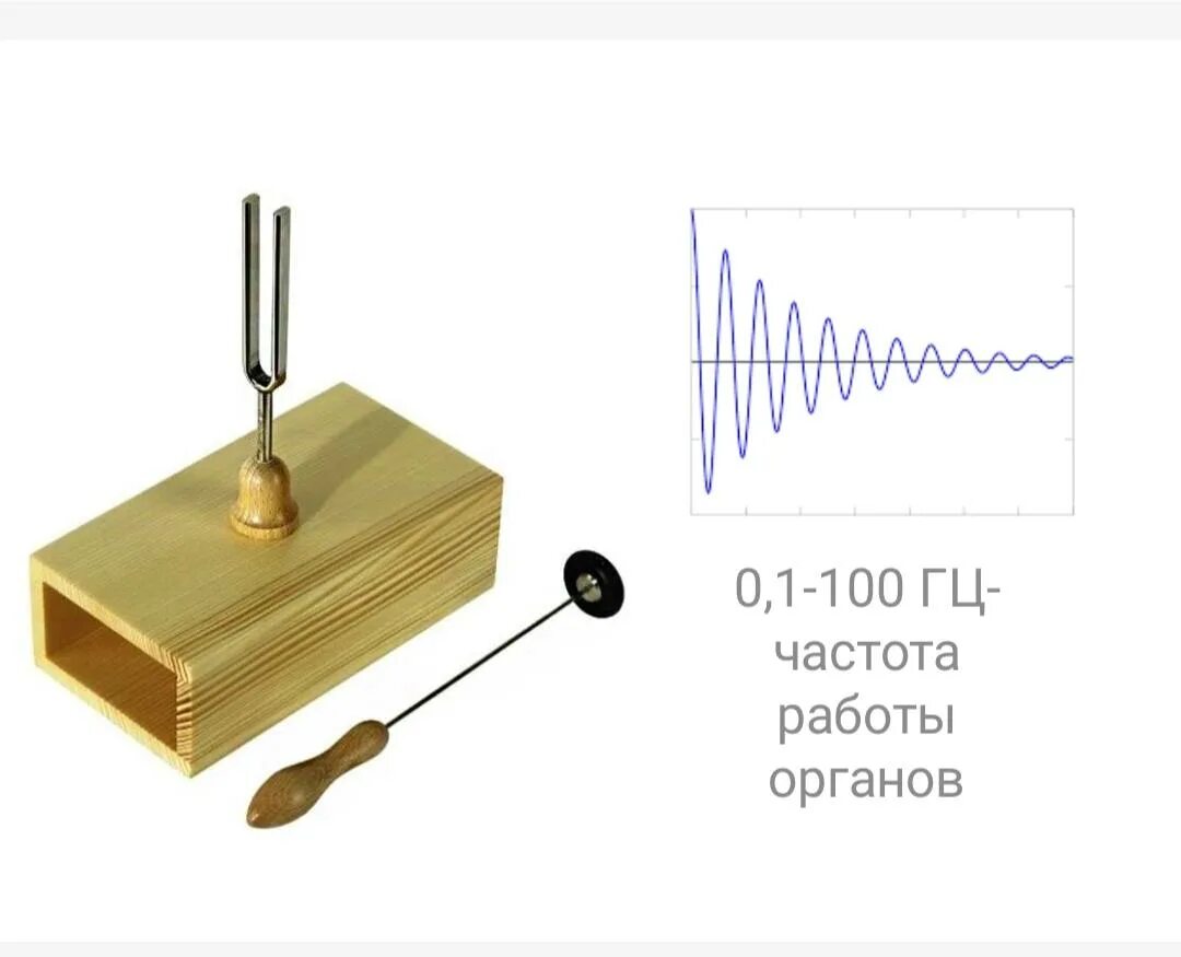 Камертон. Камертон звук слушать. 924440 (440гц) с резонансной коробкой и молоточком, wittner. Камертон звук слушать. Камертон ля 440.