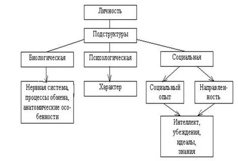 Личность как система реакций на различные стимулы