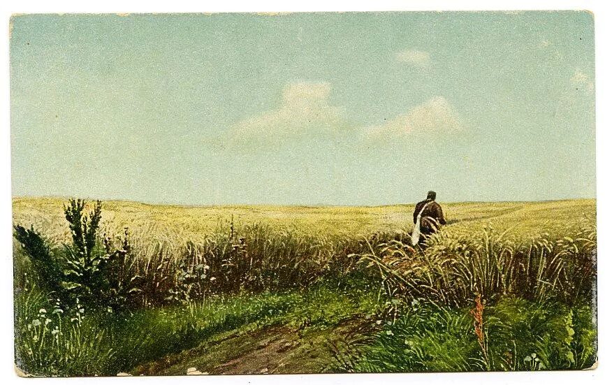 Дорога во ржи картина Мясоедова. Г. Мясоедов. Дорога во ржи (1881 г.).