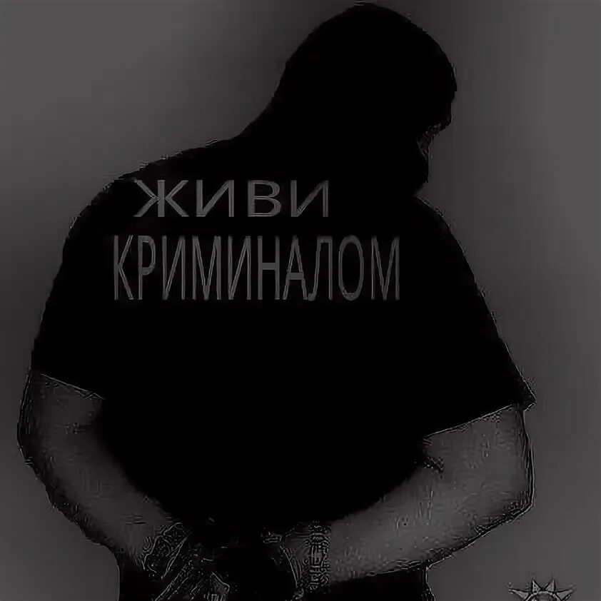 Цыганистан страна. Цыган футболкк. Цыганистан. Цыганский флаг. Цыган фермер.