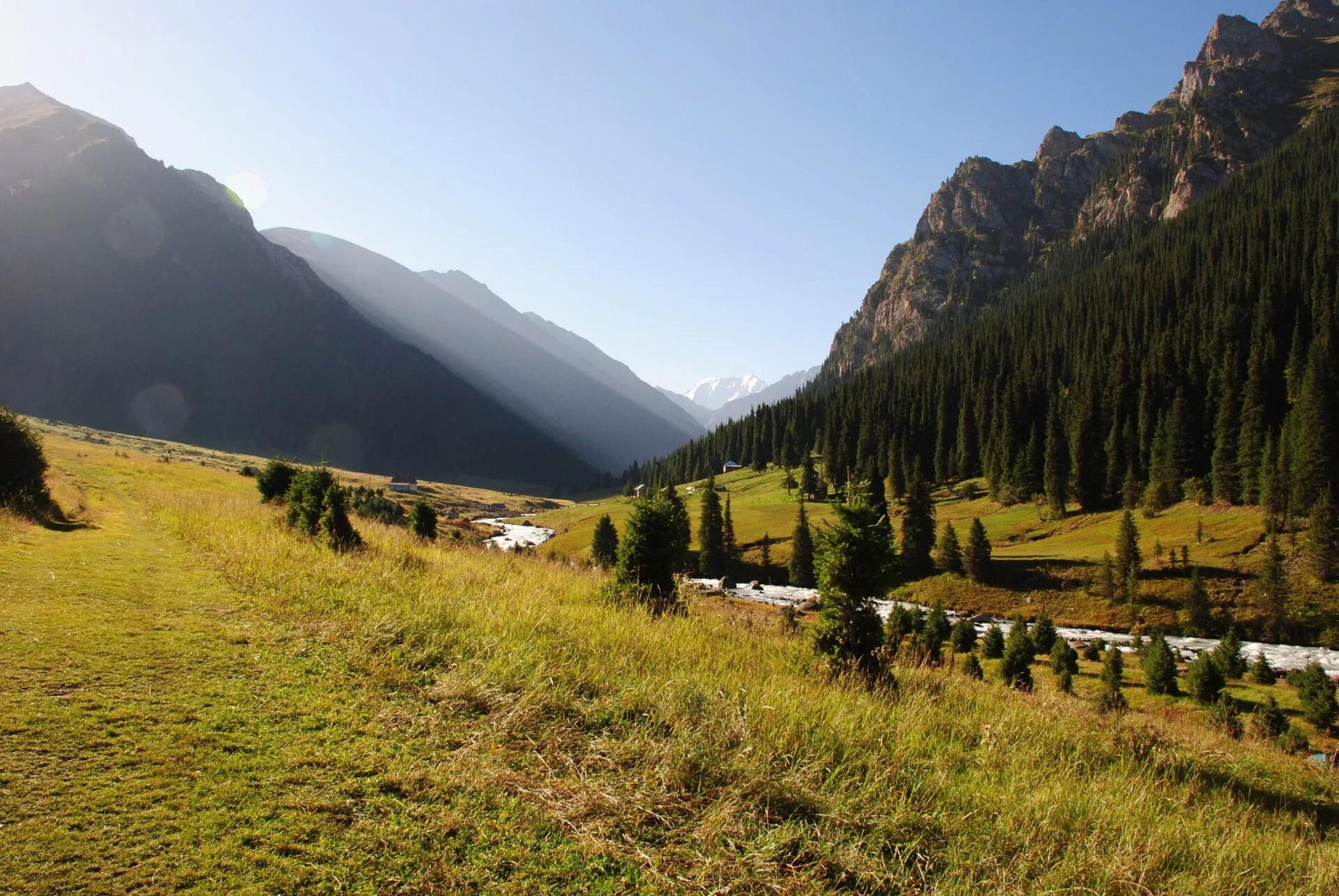 Р киргизия. Киргизия горы Долина Арашан. Киргизия горы Каракол. Природа Кыргызстана Алтын Арашан.