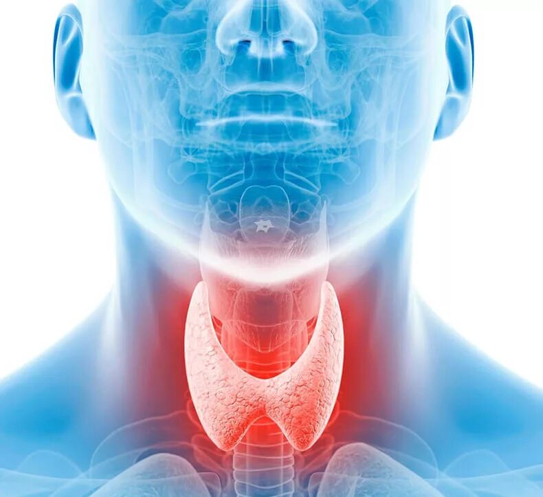 Исцеление щитовидной железы. Эндокринология щитовидная железа. Эндокринолог щитовидная железа. Щитовидная железа фон.