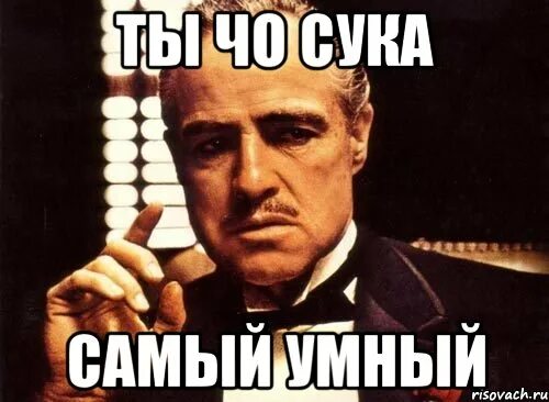 Самый умный Мем. Да ты умен. Ты чо блять самый умный. Ты чо самый умный Мем.