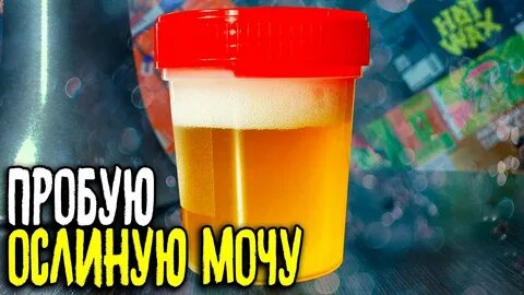 Ослиная моча