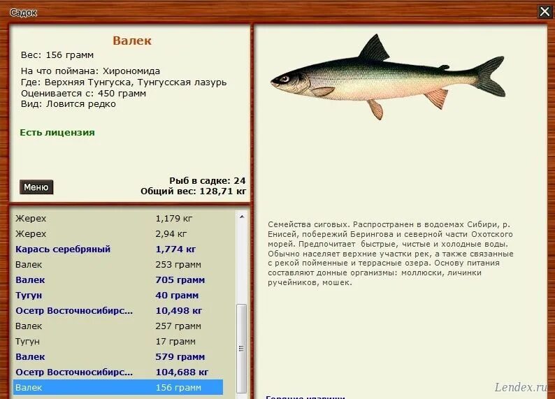 Русская рыбалка 3 золотая рыбка. Русская рыбалка 3 Подкаменная Тунгуска омуль. Русская рыбалка Золотая рыбка. Даватчан рр3. Русская рыбалка 3 Даватчан.