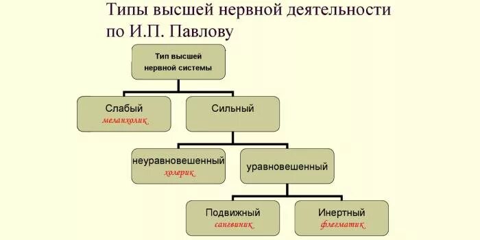 Признаки специфической нервной деятельности. Типы высшей нервной. Типы ВНД. Человеческие типы ВНД. Типы ВНД человека и животных.