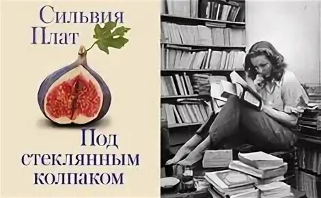 Книга под стеклянным колпаком